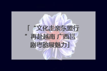“文化走亲东盟行”再赴越南 广西邕剧粤韵展魅力